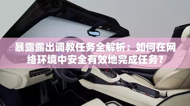 暴露露出调教任务全解析：如何在网络环境中安全有效地完成任务？