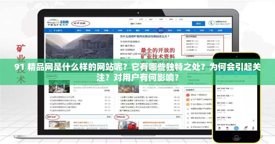 91 精品网是什么样的网站呢？它有哪些独特之处？为何会引起关注？对用户有何影响？