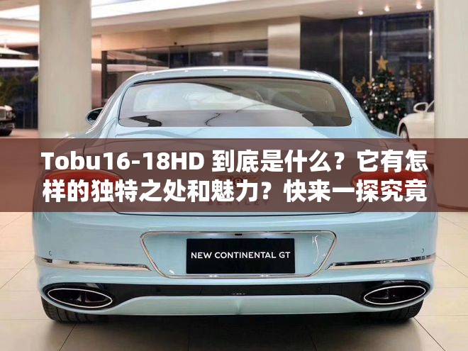 Tobu16-18HD 到底是什么？它有怎样的独特之处和魅力？快来一探究竟