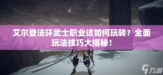 艾尔登法环武士职业该如何玩转？全面玩法技巧大揭秘！