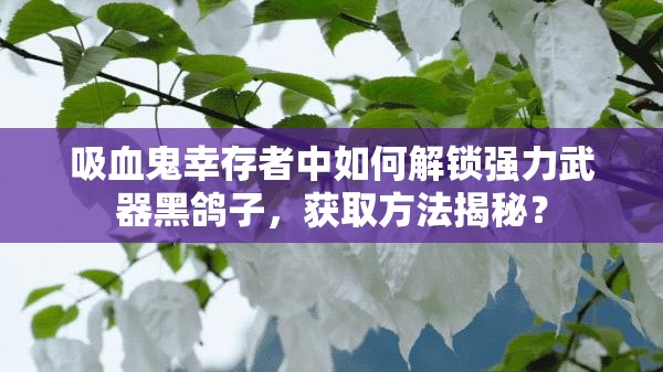 吸血鬼幸存者中如何解锁强力武器黑鸽子，获取方法揭秘？