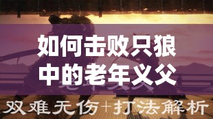 如何击败只狼中的老年义父？打法技巧在资源管理与策略布局中的重要性揭秘