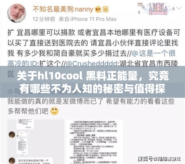 关于hl10cool 黑料正能量，究竟有哪些不为人知的秘密与值得探讨之处？