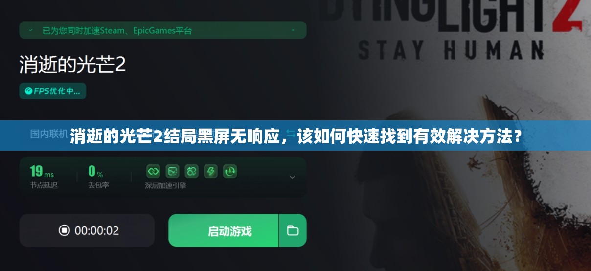 消逝的光芒2结局黑屏无响应，该如何快速找到有效解决方法？