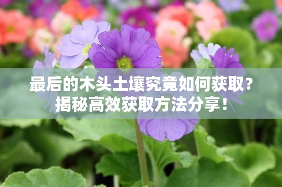 最后的木头土壤究竟如何获取？揭秘高效获取方法分享！