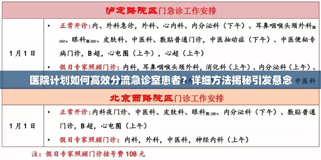 医院计划如何高效分流急诊室患者？详细方法揭秘引发悬念