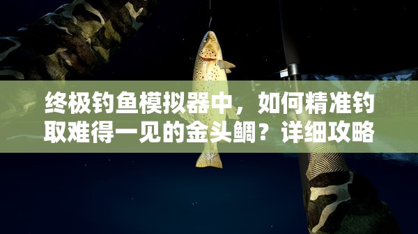 终极钓鱼模拟器中，如何精准钓取难得一见的金头鲷？详细攻略揭秘！