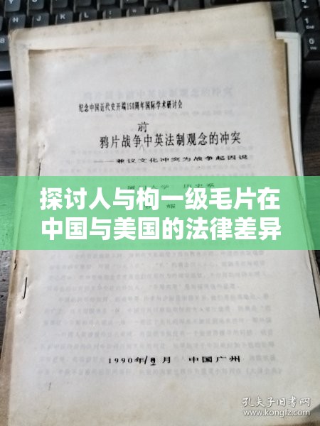 探讨人与枸一级毛片在中国与美国的法律差异及社会影响：深度解析两国文化背景下的内容监管与公众态度