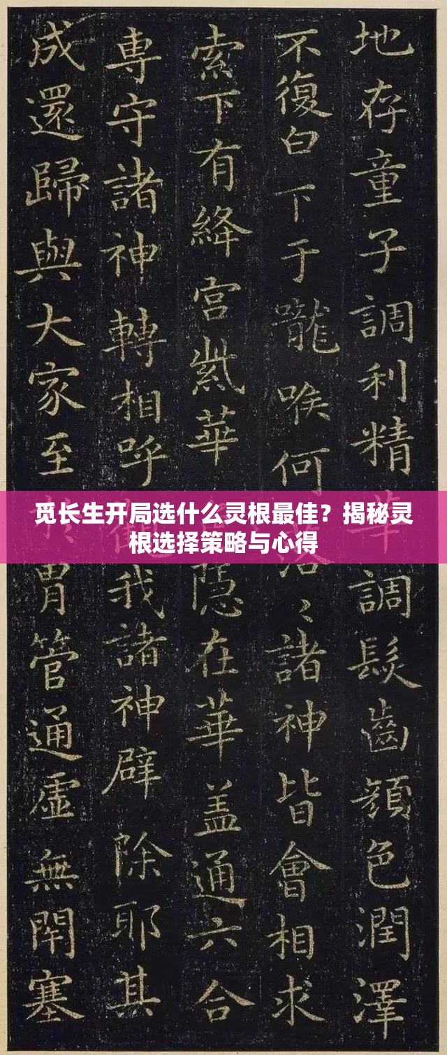 觅长生开局选什么灵根最佳？揭秘灵根选择策略与心得