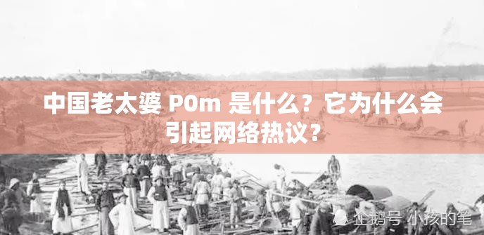 中国老太婆 P0m 是什么？它为什么会引起网络热议？