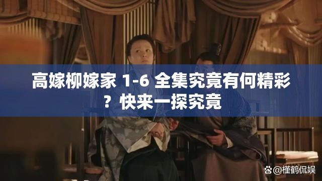 高嫁柳嫁家 1-6 全集究竟有何精彩？快来一探究竟