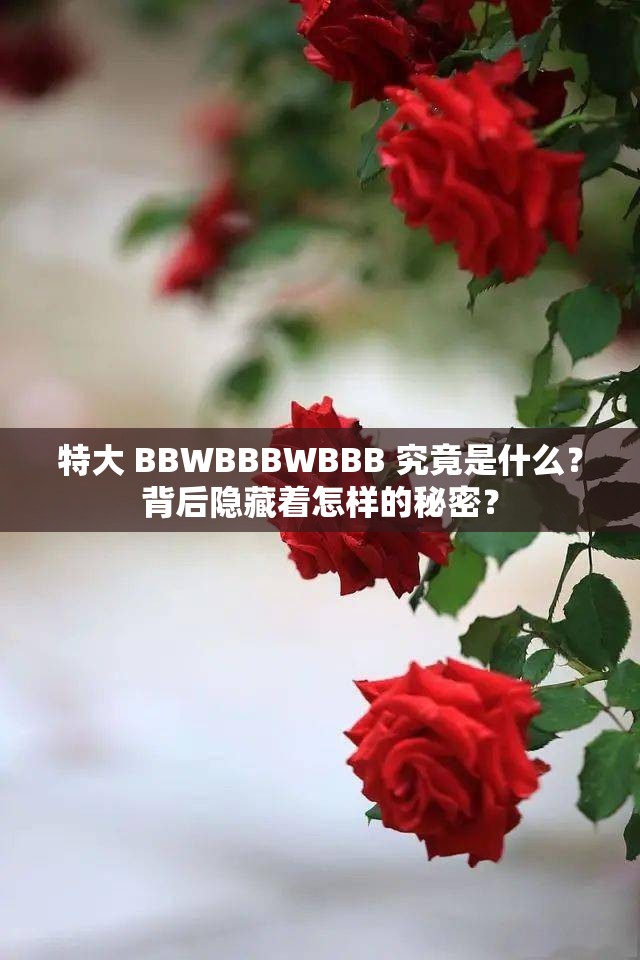 特大 BBWBBBWBBB 究竟是什么？背后隐藏着怎样的秘密？