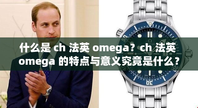 什么是 ch 法英 omega？ch 法英 omega 的特点与意义究竟是什么？