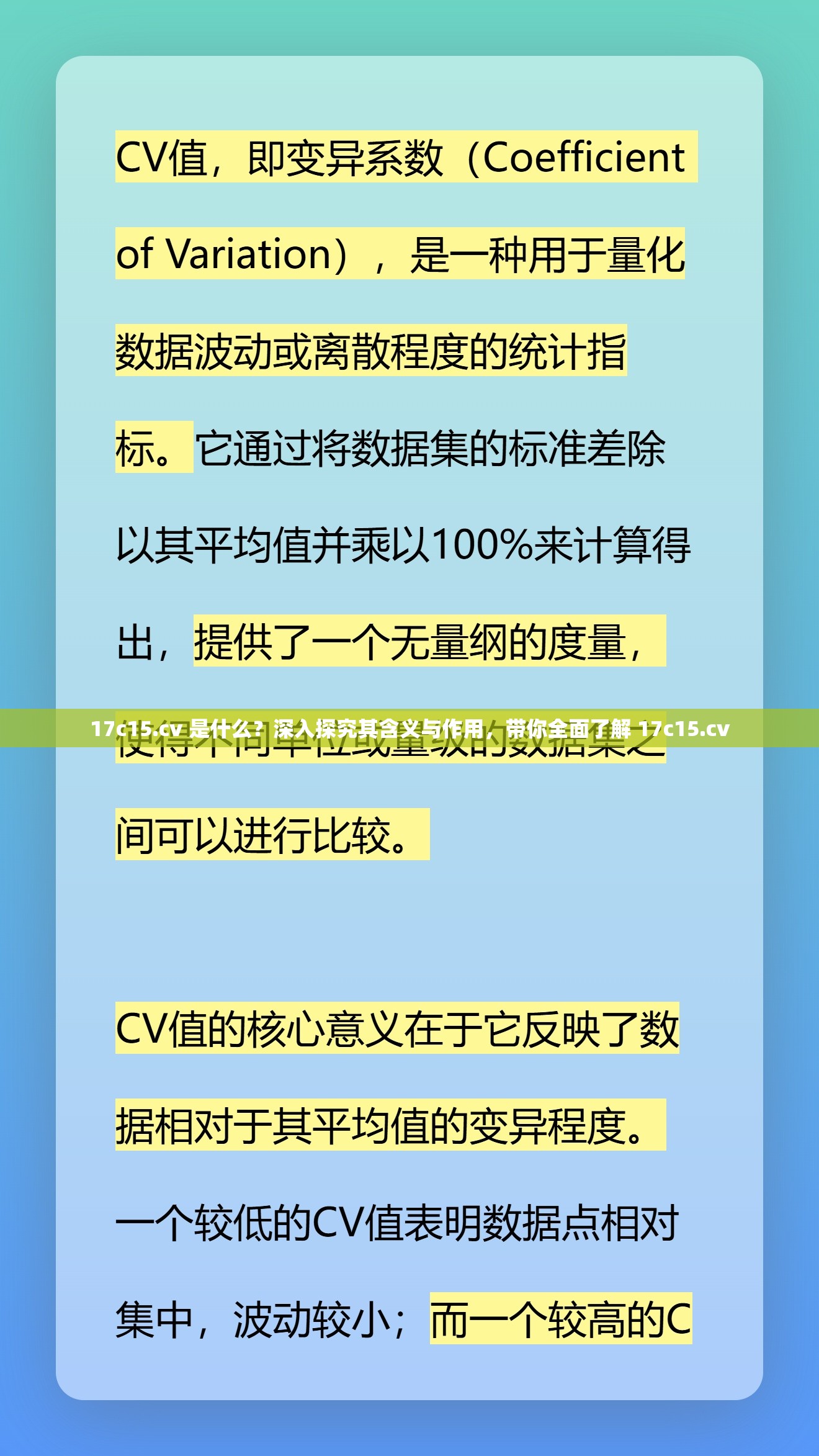 17c15.cv 是什么？深入探究其含义与作用，带你全面了解 17c15.cv