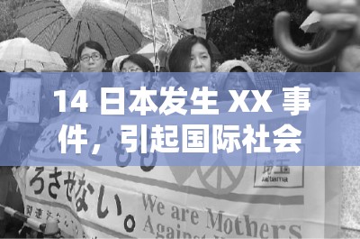 14 日本发生 XX 事件，引起国际社会广泛关注