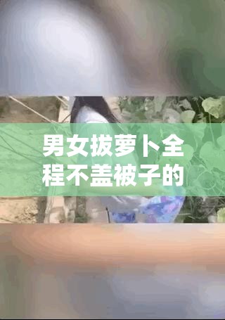 男女拔萝卜全程不盖被子的真实体验与技巧分享，揭秘高效拔萝卜的秘密方法