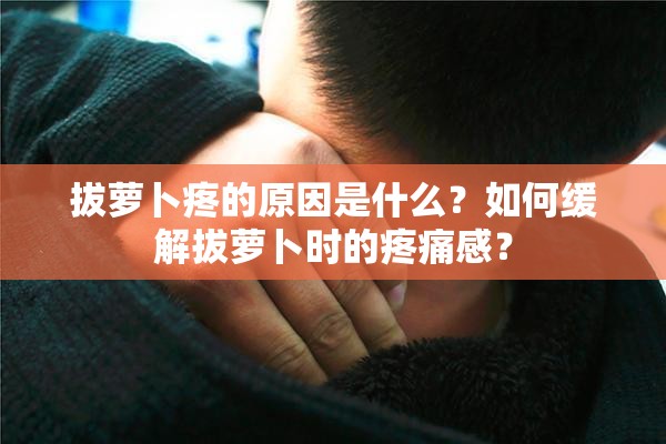 拔萝卜疼的原因是什么？如何缓解拔萝卜时的疼痛感？