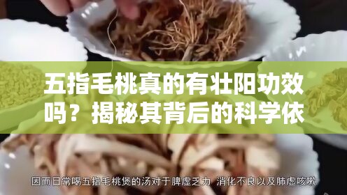 五指毛桃真的有壮阳功效吗？揭秘其背后的科学依据与食用方法