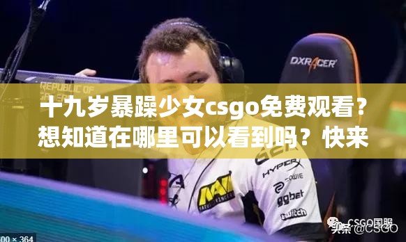 十九岁暴躁少女csgo免费观看？想知道在哪里可以看到吗？快来一探究竟