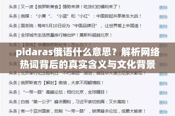 pidaras俄语什么意思？解析网络热词背后的真实含义与文化背景