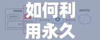 如何利用永久局域网和加密通道提升企业数据安全与网络稳定性？