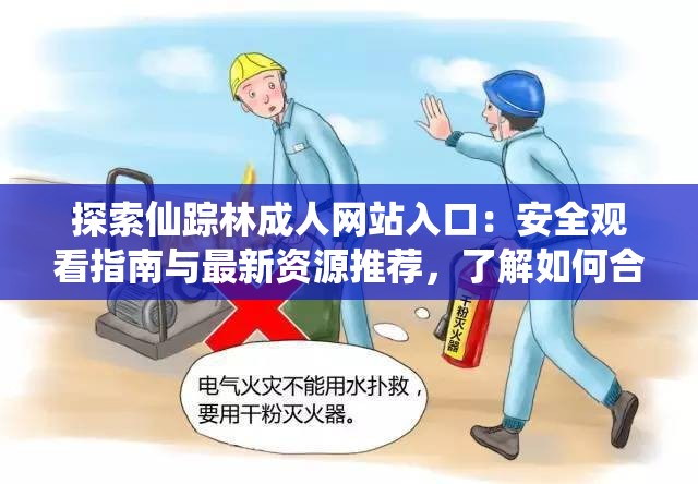 探索仙踪林成人网站入口：安全观看指南与最新资源推荐，了解如何合法访问与使用