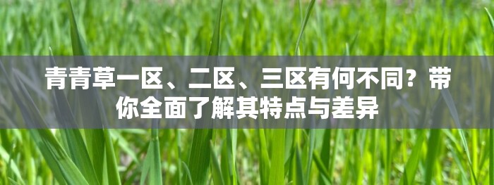 青青草一区、二区、三区有何不同？带你全面了解其特点与差异