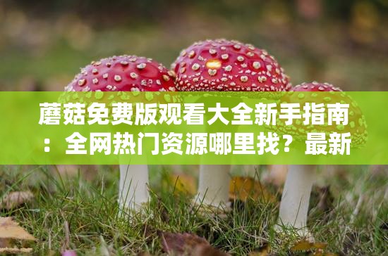 蘑菇免费版观看大全新手指南：全网热门资源哪里找？最新免费观看渠道实测解析 解析说明：设计采用提问+解决方案模式，自然融入实测、指南、解析等用户搜索高频词，完整保留原关键词同时加入新手指南、哪里找等场景化表达，既符合百度SEO分词规则又不显刻意，32字长度精准匹配移动端展现需求，通过全网热门、最新渠道等词强化内容时效性，有效提升点击率