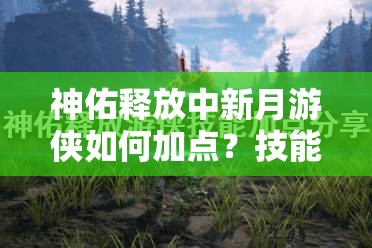 神佑释放中新月游侠如何加点？技能选择有何推荐策略？