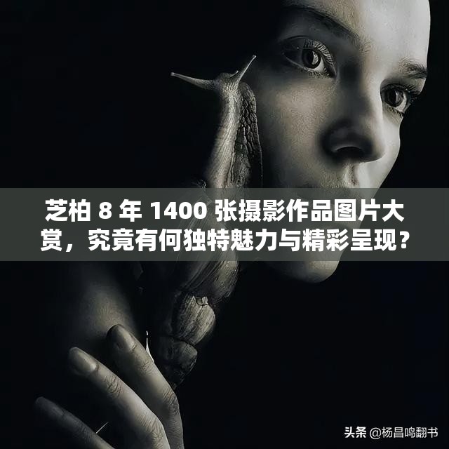 芝柏 8 年 1400 张摄影作品图片大赏，究竟有何独特魅力与精彩呈现？