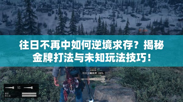 往日不再中如何逆境求存？揭秘金牌打法与未知玩法技巧！