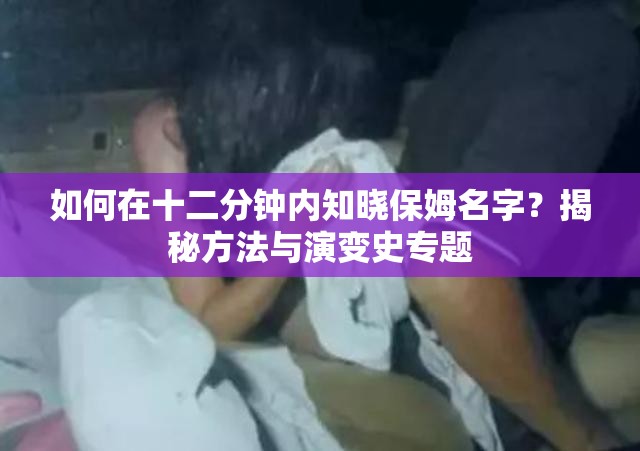 如何在十二分钟内知晓保姆名字？揭秘方法与演变史专题