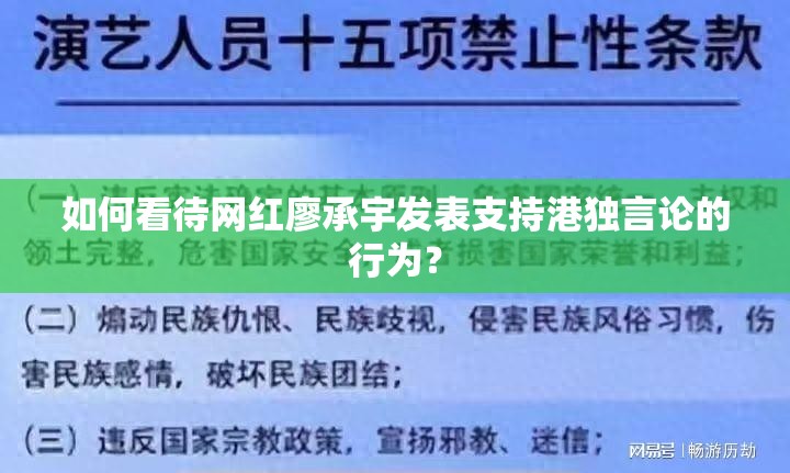 如何看待网红廖承宇发表支持港独言论的行为？