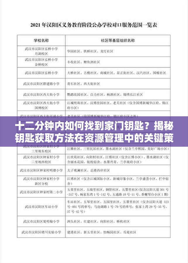 十二分钟内如何找到家门钥匙？揭秘钥匙获取方法在资源管理中的关键策略