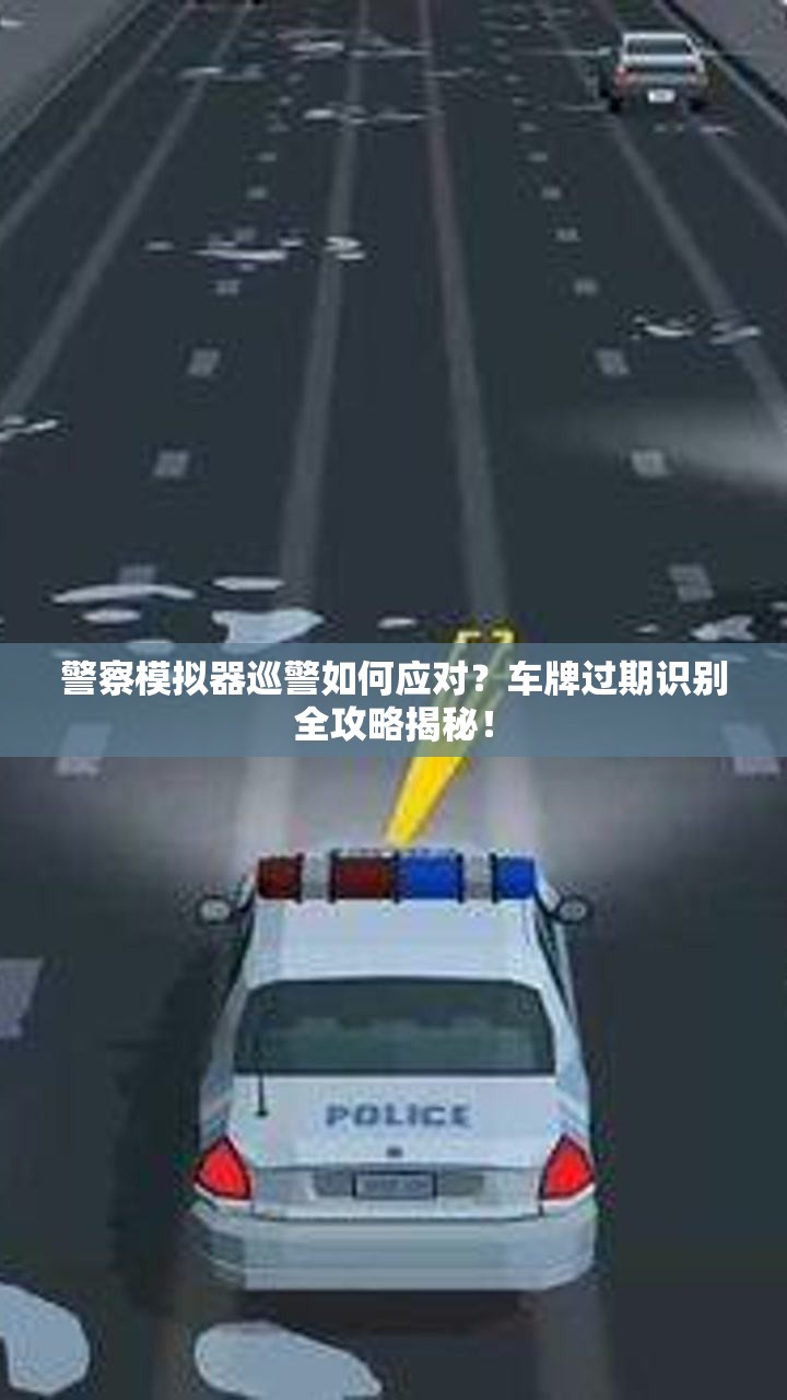 警察模拟器巡警如何应对？车牌过期识别全攻略揭秘！