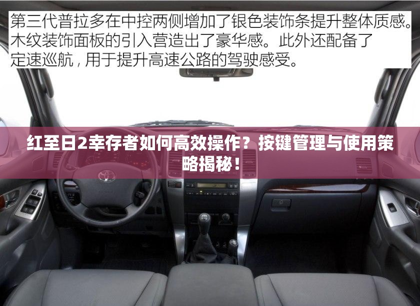 红至日2幸存者如何高效操作？按键管理与使用策略揭秘！