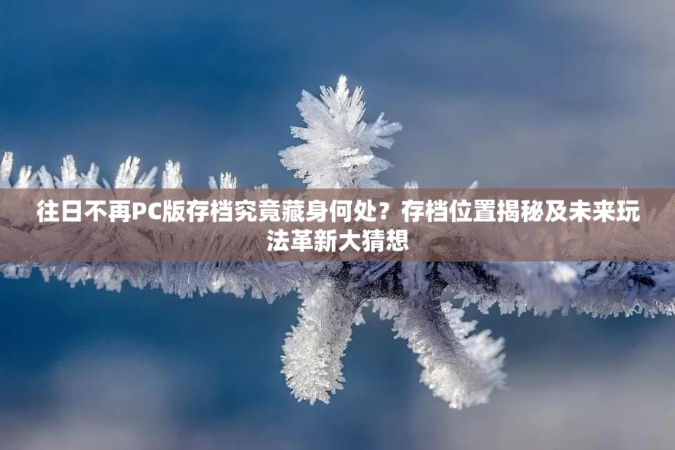 往日不再PC版存档究竟藏身何处？存档位置揭秘及未来玩法革新大猜想