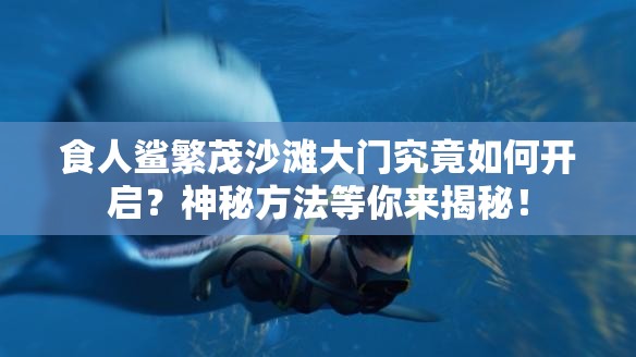 食人鲨繁茂沙滩大门究竟如何开启？神秘方法等你来揭秘！