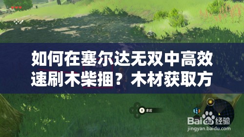 如何在塞尔达无双中高效速刷木柴捆？木材获取方法揭秘！