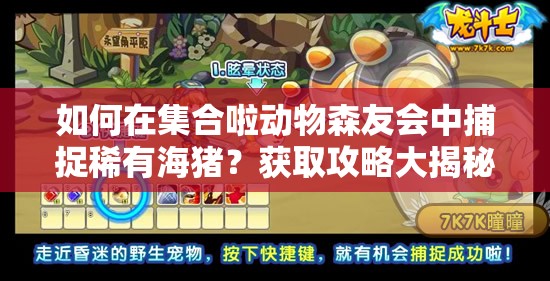 如何在集合啦动物森友会中捕捉稀有海猪？获取攻略大揭秘！